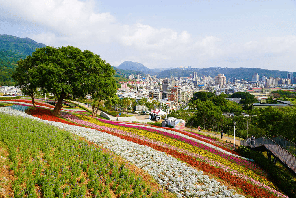 當城市放慢腳步，花海悄悄盛開，在北投社三層崎公園的春日色彩剛剛好