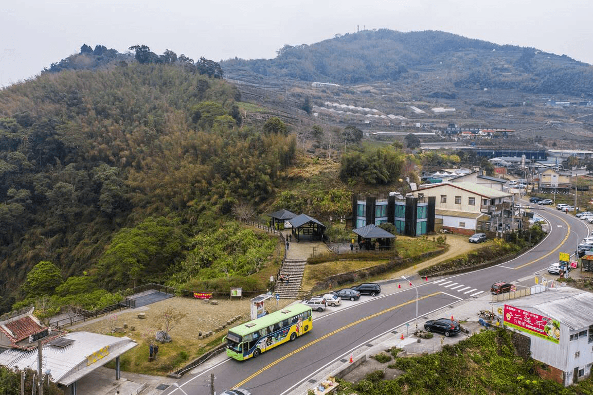 在阿里山隙頂踏上二延平步道，午後光線轉柔，山谷雲海一層層翻上來