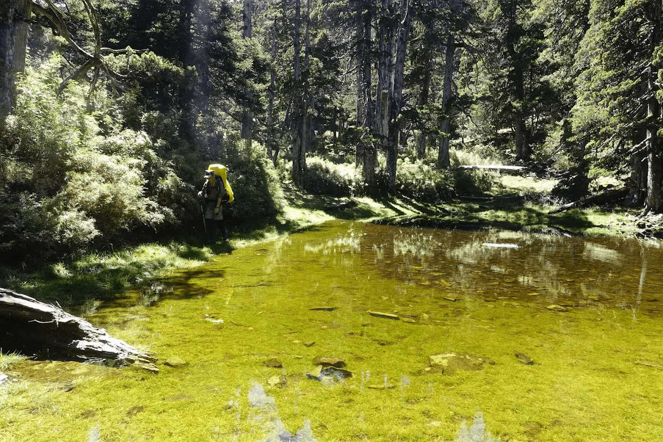 下翠池靜謐的自然風光