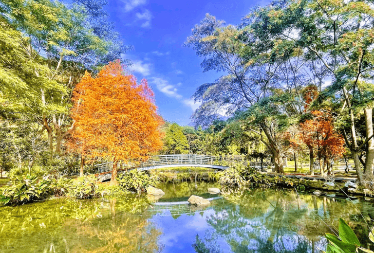 內灣親水公園生態步道