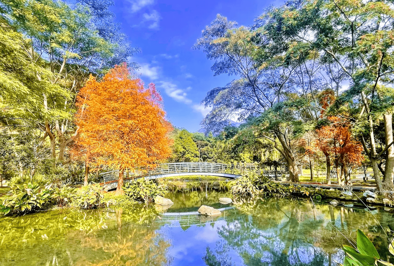 內灣親水公園生態步道