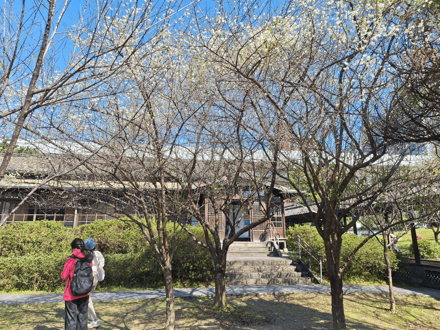 在車站旁留下一段安靜的時光，走進逸仙公園，感受歷史交會的城市縫隙