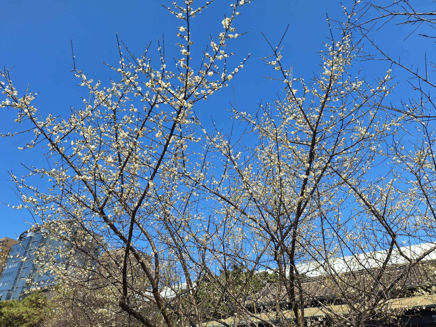 在車站旁留下一段安靜的時光，走進逸仙公園，感受歷史交會的城市縫隙