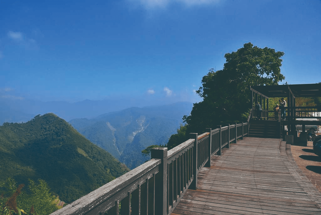 沿著隙頂山腰前行，二延平步道在茶園與稜線之間，鋪開一段等雲的時間