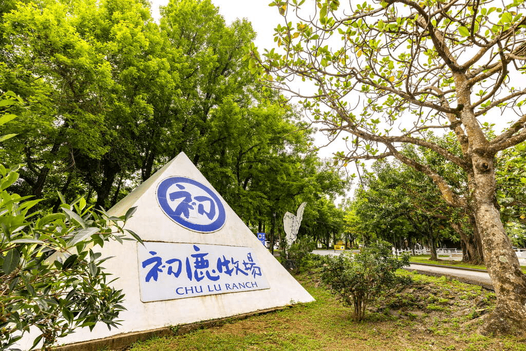 在台東的草原上呼吸，走進初鹿牧場，把時間交給牛群、乳香與遼闊天空