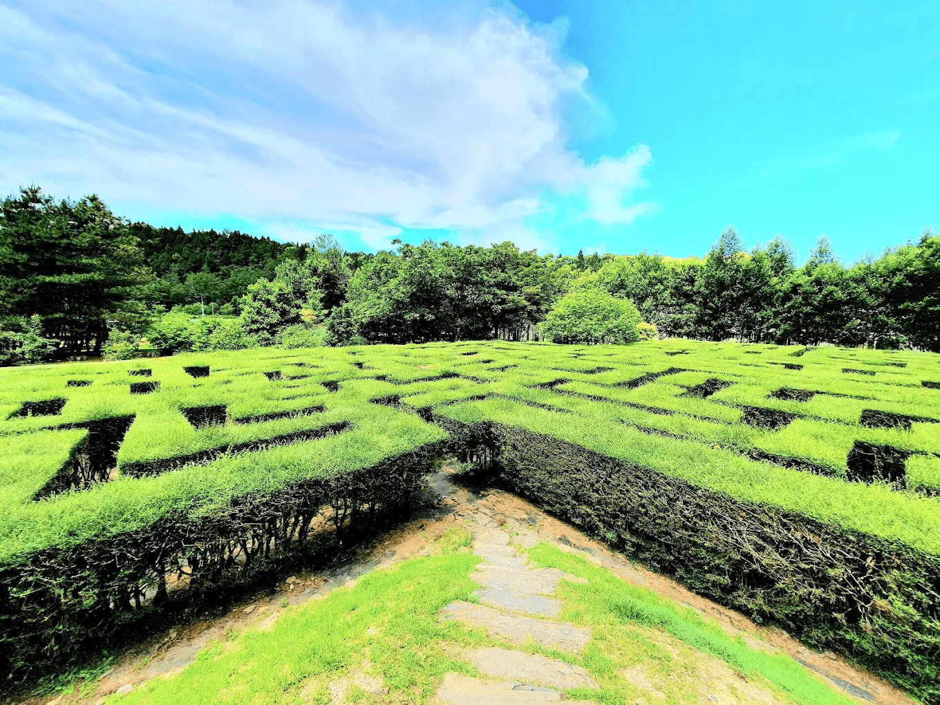 國立臺灣大學山地實驗農場梅峰本場