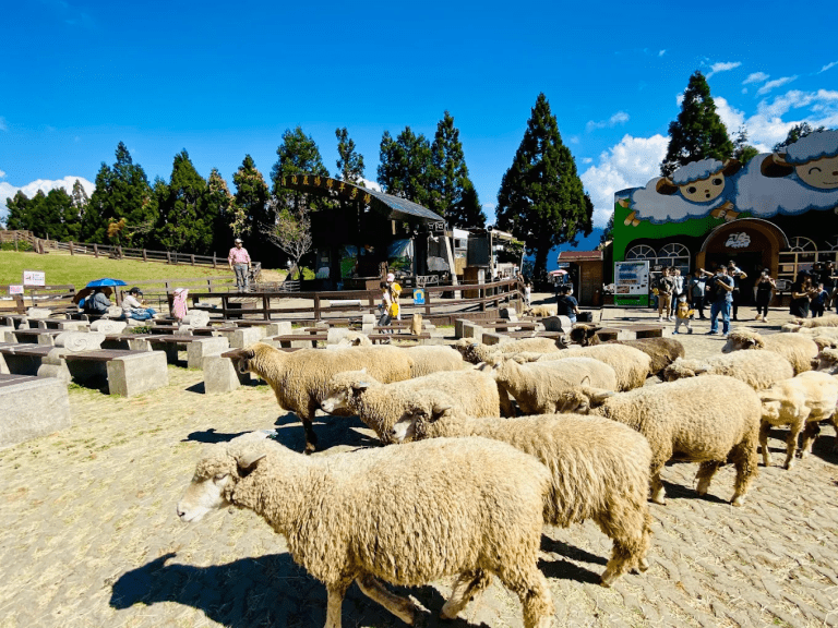 清境農場