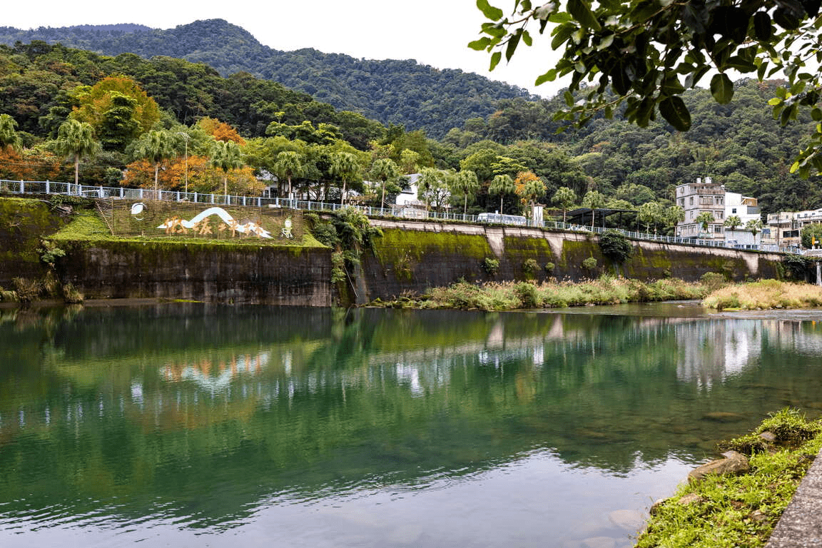 沿著清澈溪水向前行，坪林觀魚步道是一條讓大家都能安心親近自然的路
