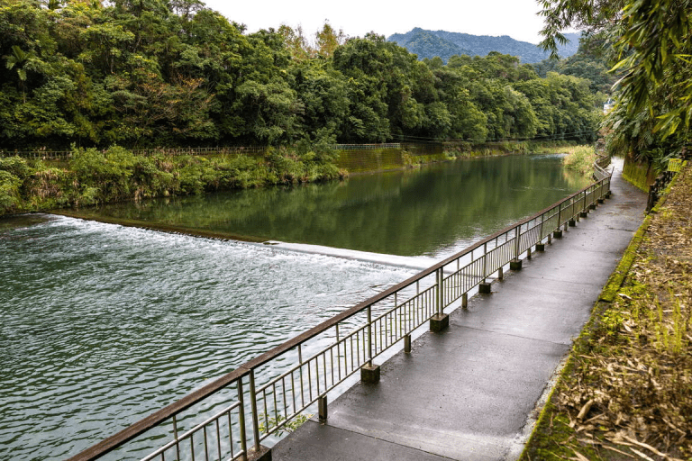 沿著清澈溪水向前行，坪林觀魚步道是一條讓大家都能安心親近自然的路