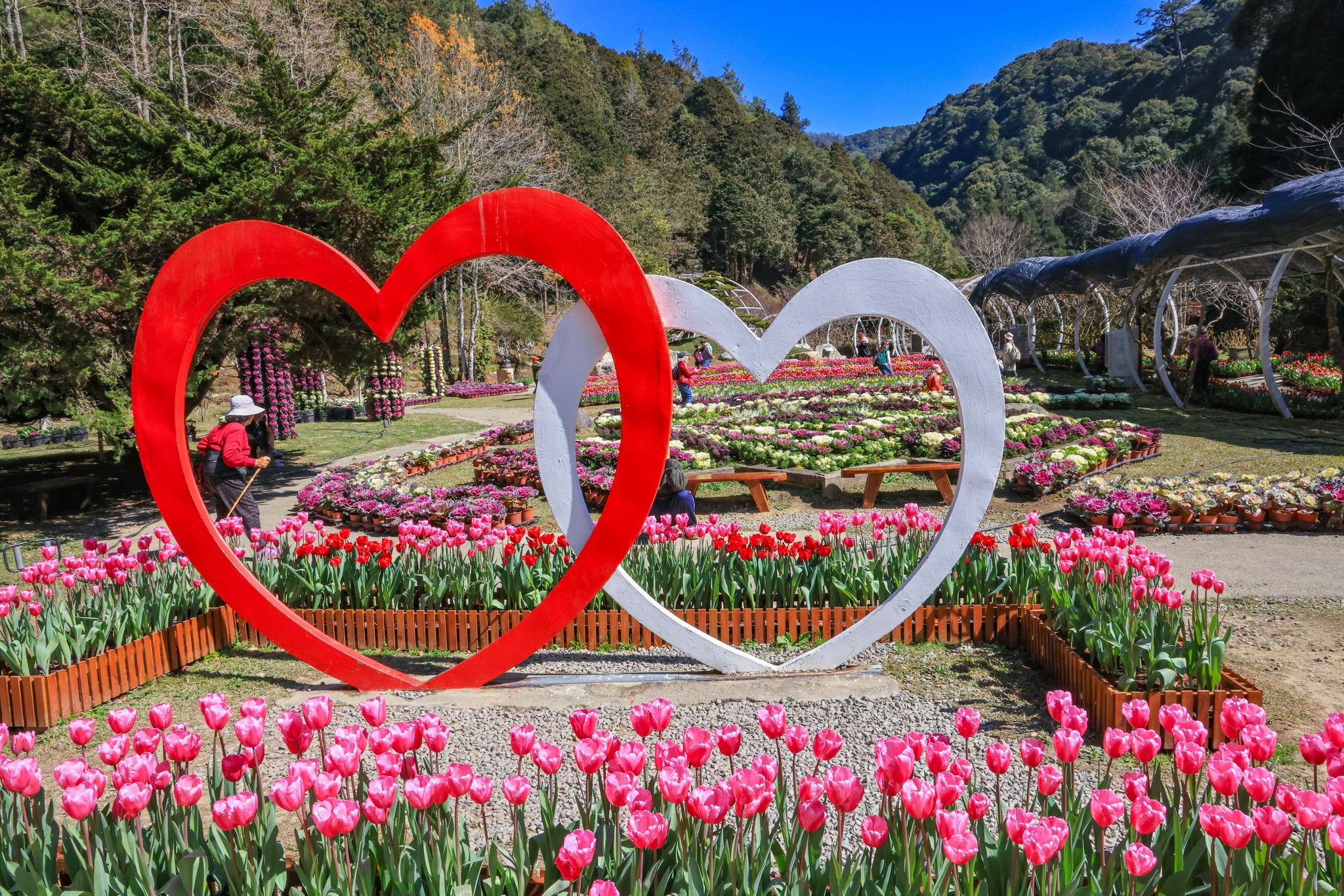 在台東太麻里金站溫泉民宿的清晨推開窗，海風與暖湯一起迎接新的一天