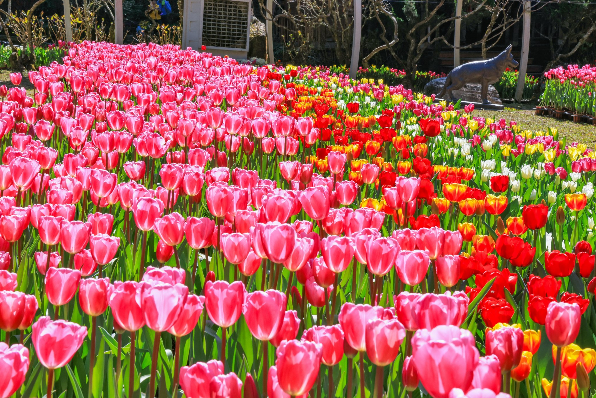 今年過年走入南投杉林溪與溪頭森林景點,在瀑布與竹林之間重新開始