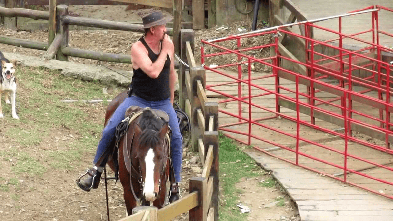 清境農場周邊高空觀景步道與壯麗山景
