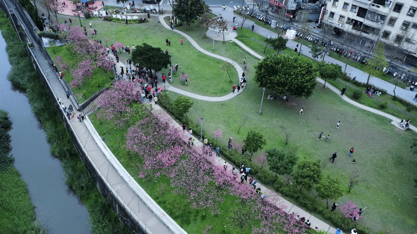樂活公園內溝溪清澈水岸