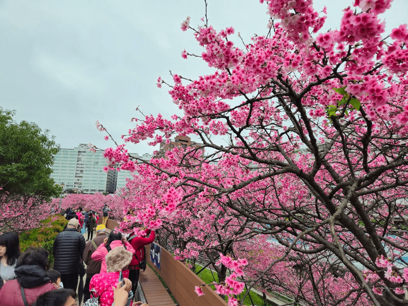 樂活公園黃昏美景