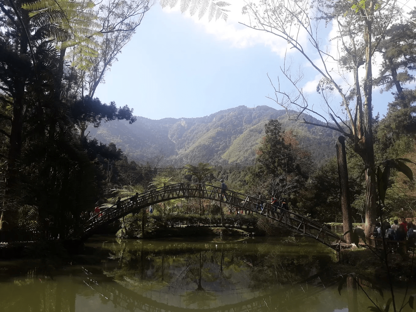 大學池