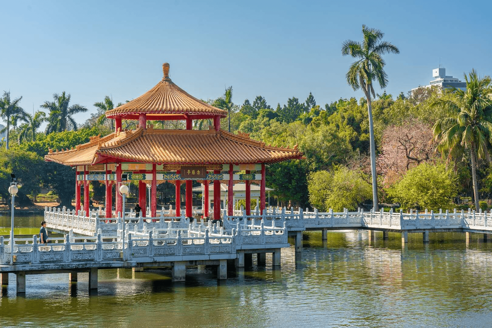 台南公園內的湖泊與綠意景色