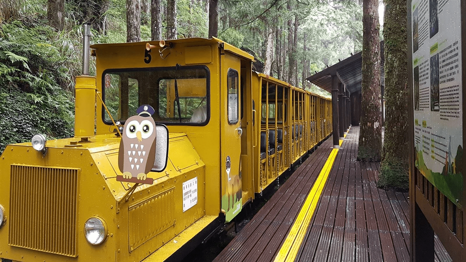 太平山蹦蹦車行駛於高山森林鐵道之中