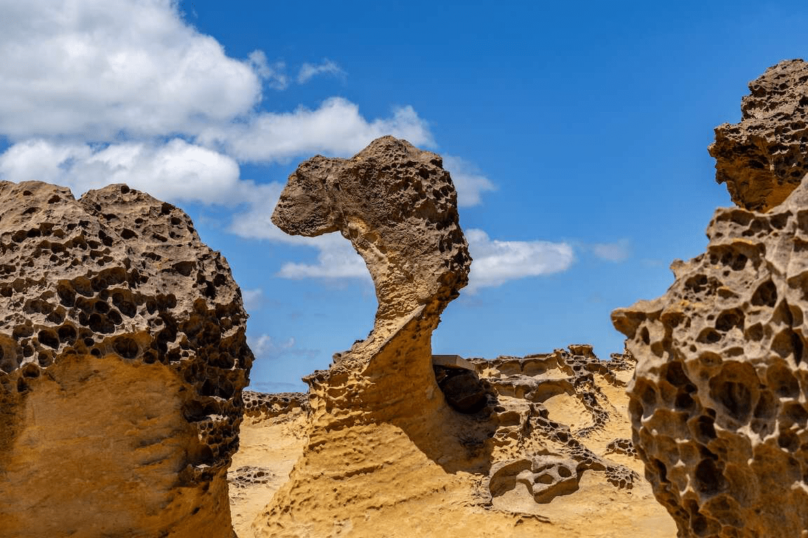 在野柳女王頭前靜靜停留，讓海蝕地形與浪濤聲陪你一段屬於歲月的故事