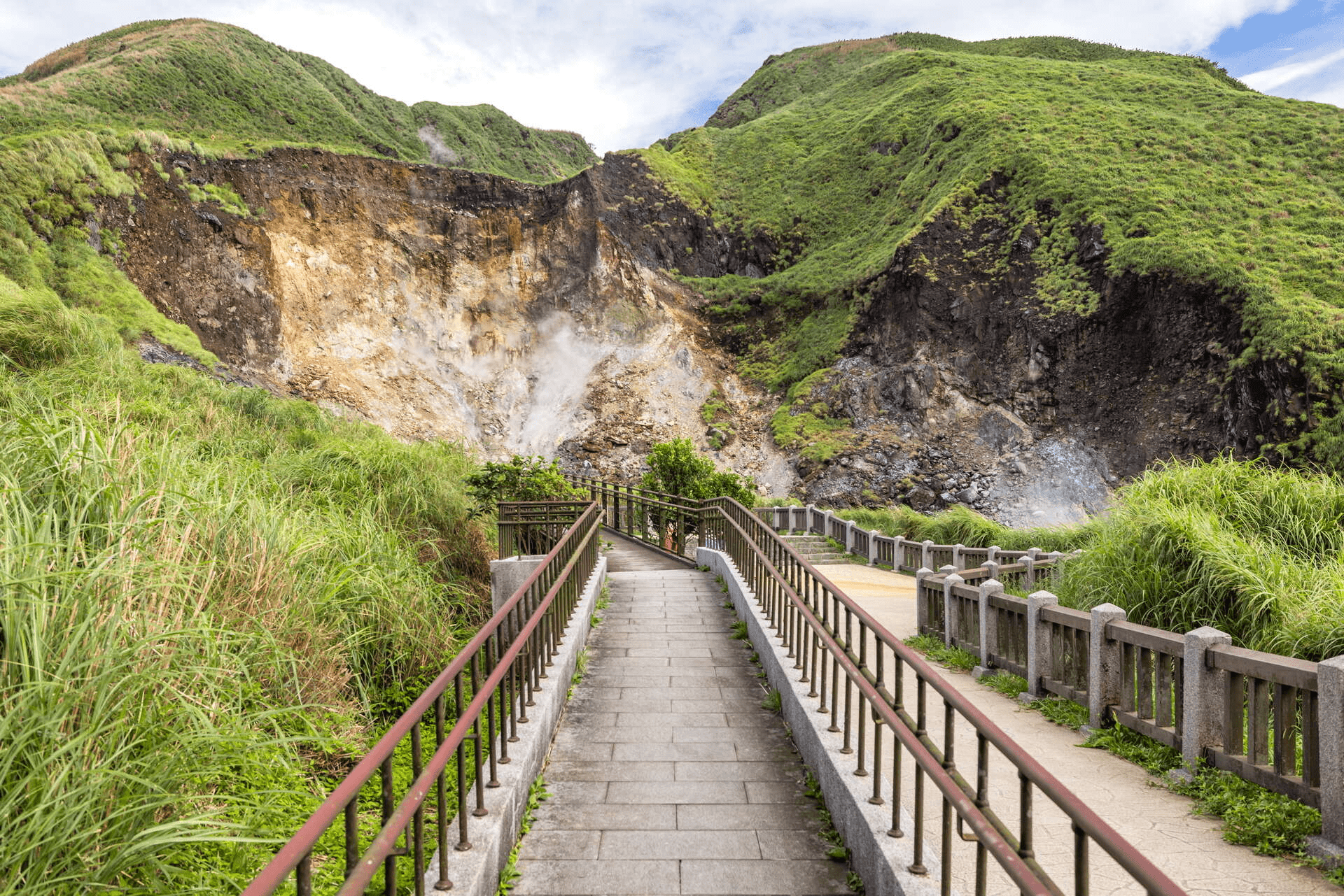 陽明山的美不只是花季限定，而是四季流轉中每一次都不一樣的溫柔風景