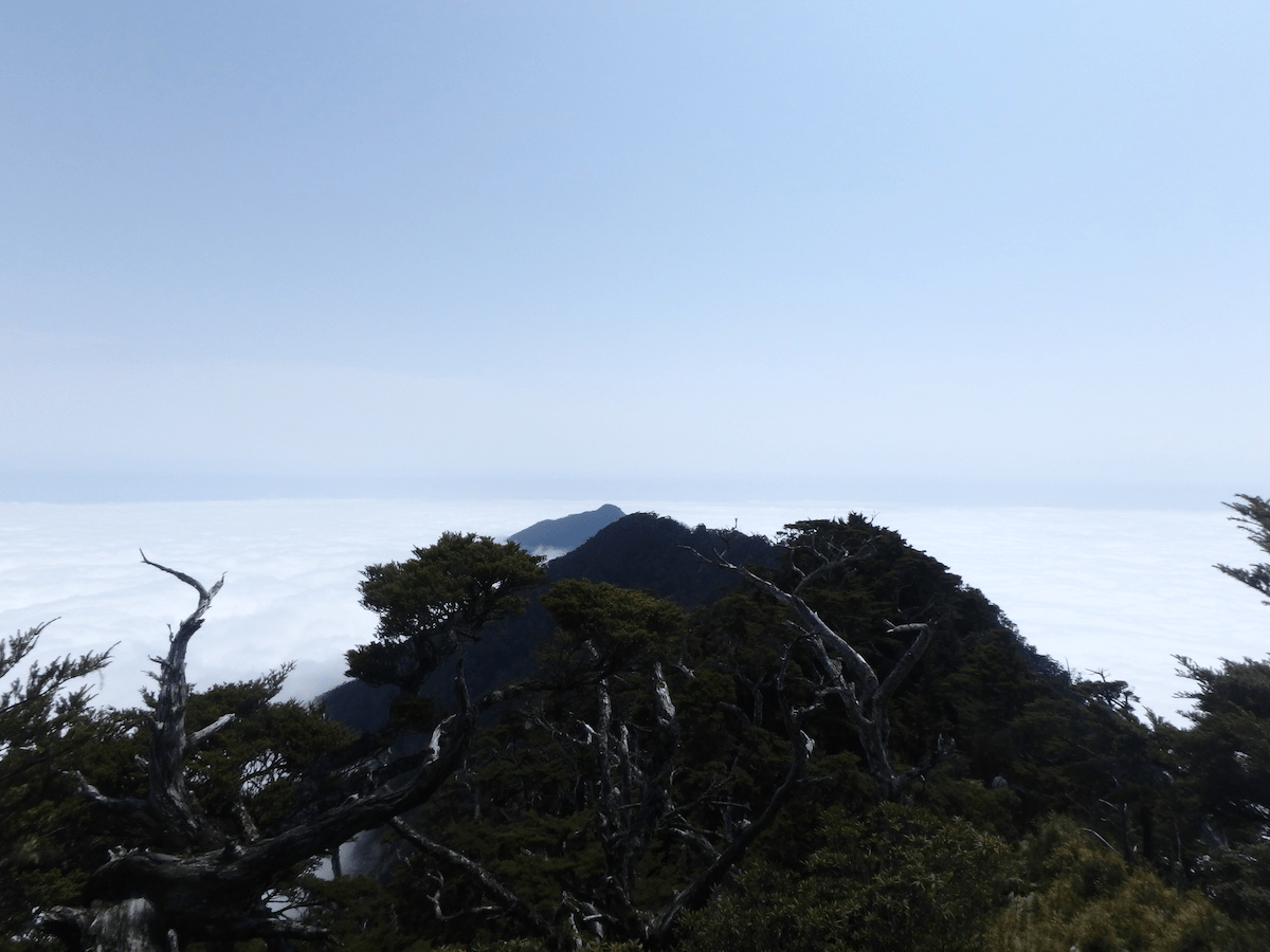 晨霧還沒散去就上山，在屏東的登山步道之間追雲海、穿森林，走一段只屬於山裡的時間