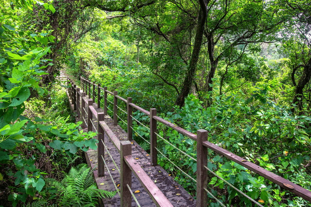 走上金門太武山風景區，在林蔭與海風之間，看見整座島嶼的遼闊與記憶