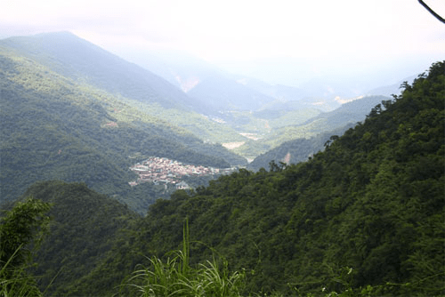 晨霧還沒散去就上山，在屏東的登山步道之間追雲海、穿森林，走一段只屬於山裡的時間