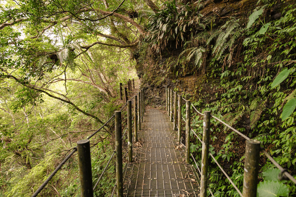 在拉庫拉庫溪谷上緩步前行，走進花蓮瓦拉米步道的森林時光與山屋靜夜