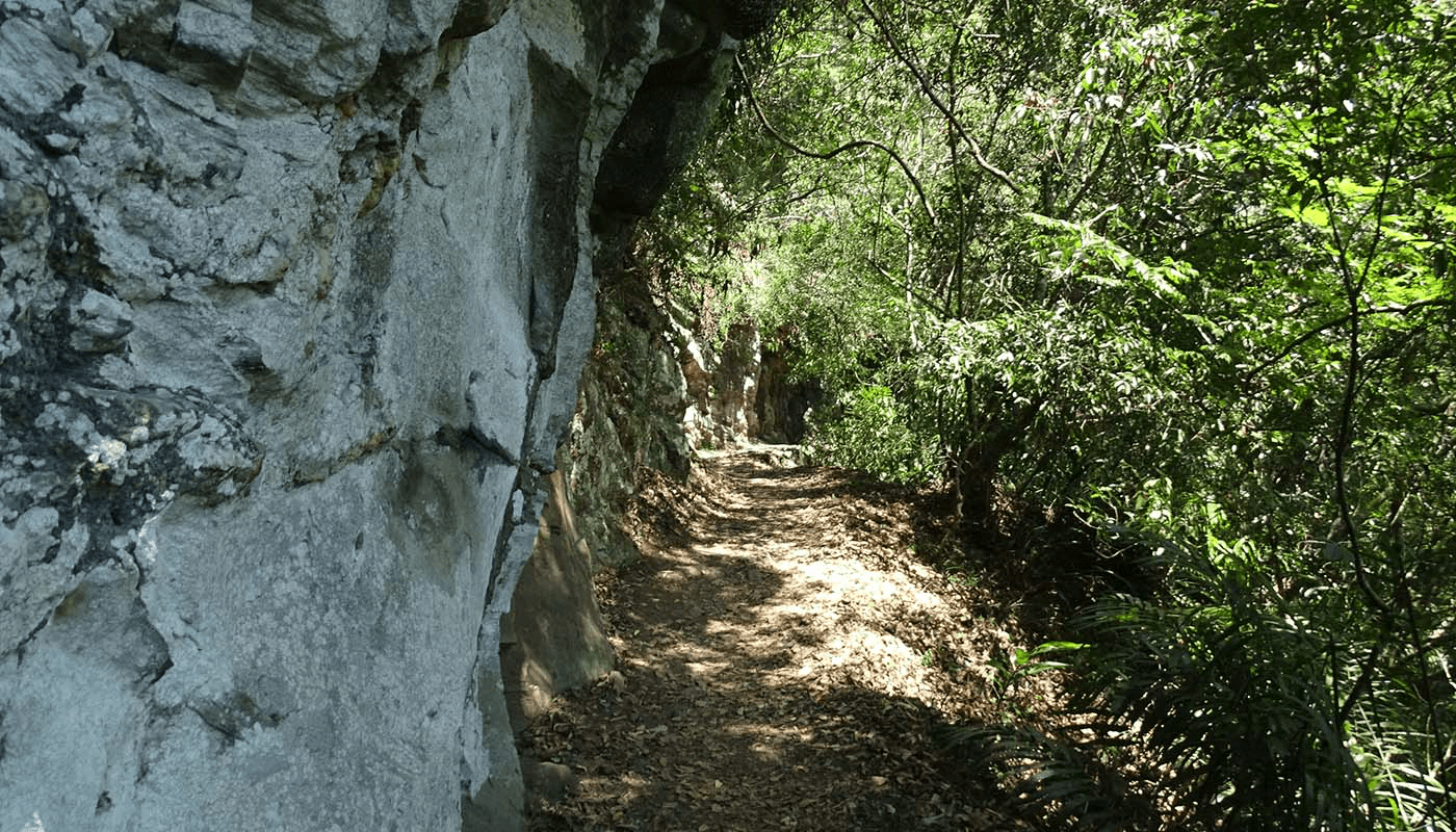 在拉庫拉庫溪谷上緩步前行，走進花蓮瓦拉米步道的森林時光與山屋靜夜