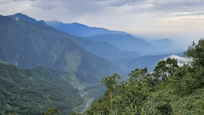 晨霧還沒散去就上山，在屏東的登山步道之間追雲海、穿森林，走一段只屬於山裡的時間