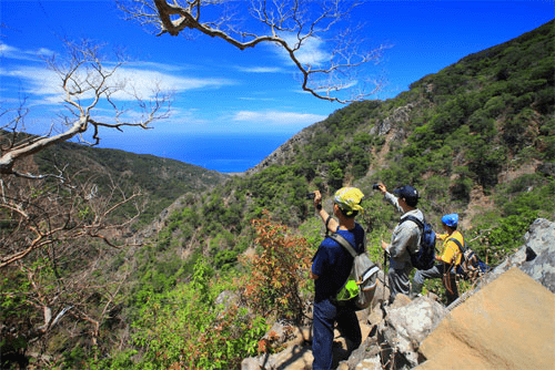 晨霧還沒散去就上山，在屏東的登山步道之間追雲海、穿森林，走一段只屬於山裡的時間