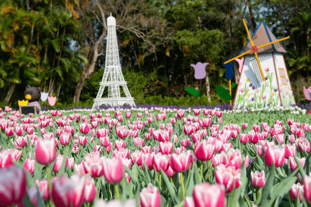 五彩繽紛的鬱金香在士林官邸盛開，搭配異國地景藝術非常吸睛