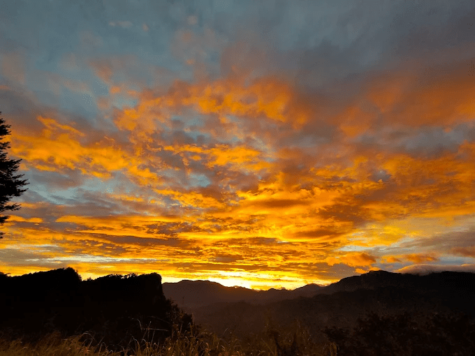 天色未明走入阿里山對高岳登山步道,踩著濕潤步道看雲海在山谷裡緩緩流動