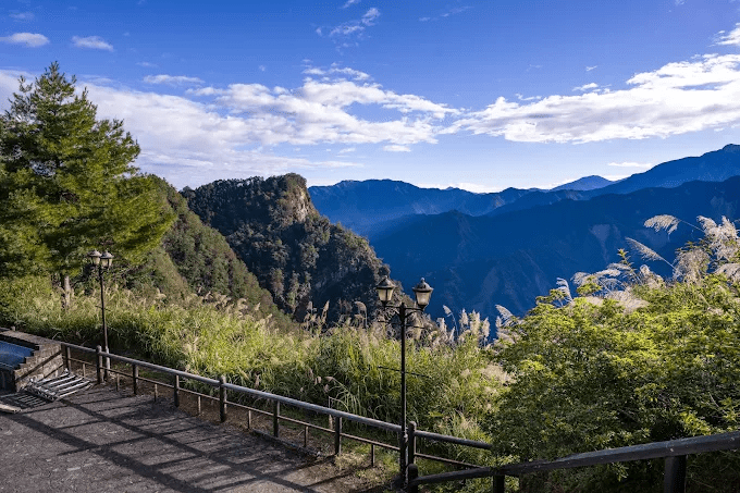 天色未明走入阿里山對高岳登山步道,踩著濕潤步道看雲海在山谷裡緩緩流動