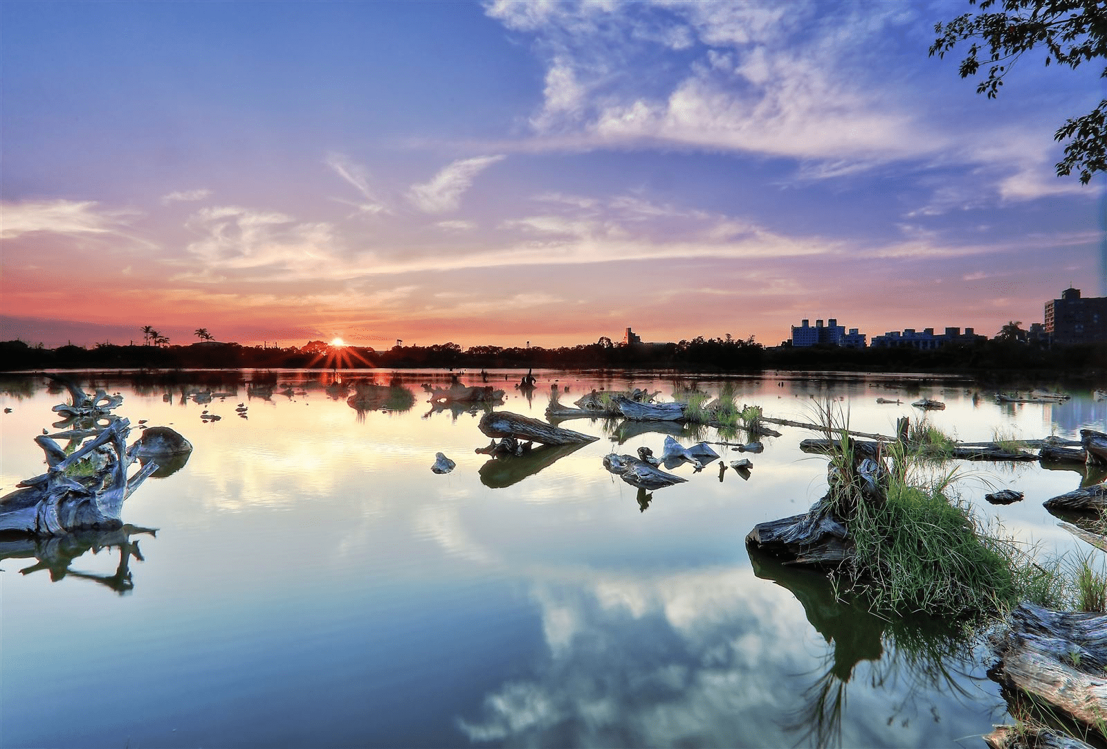 羅東林業文化園區散步旅行，走在貯木池與日式木屋交織的宜蘭森林風景
