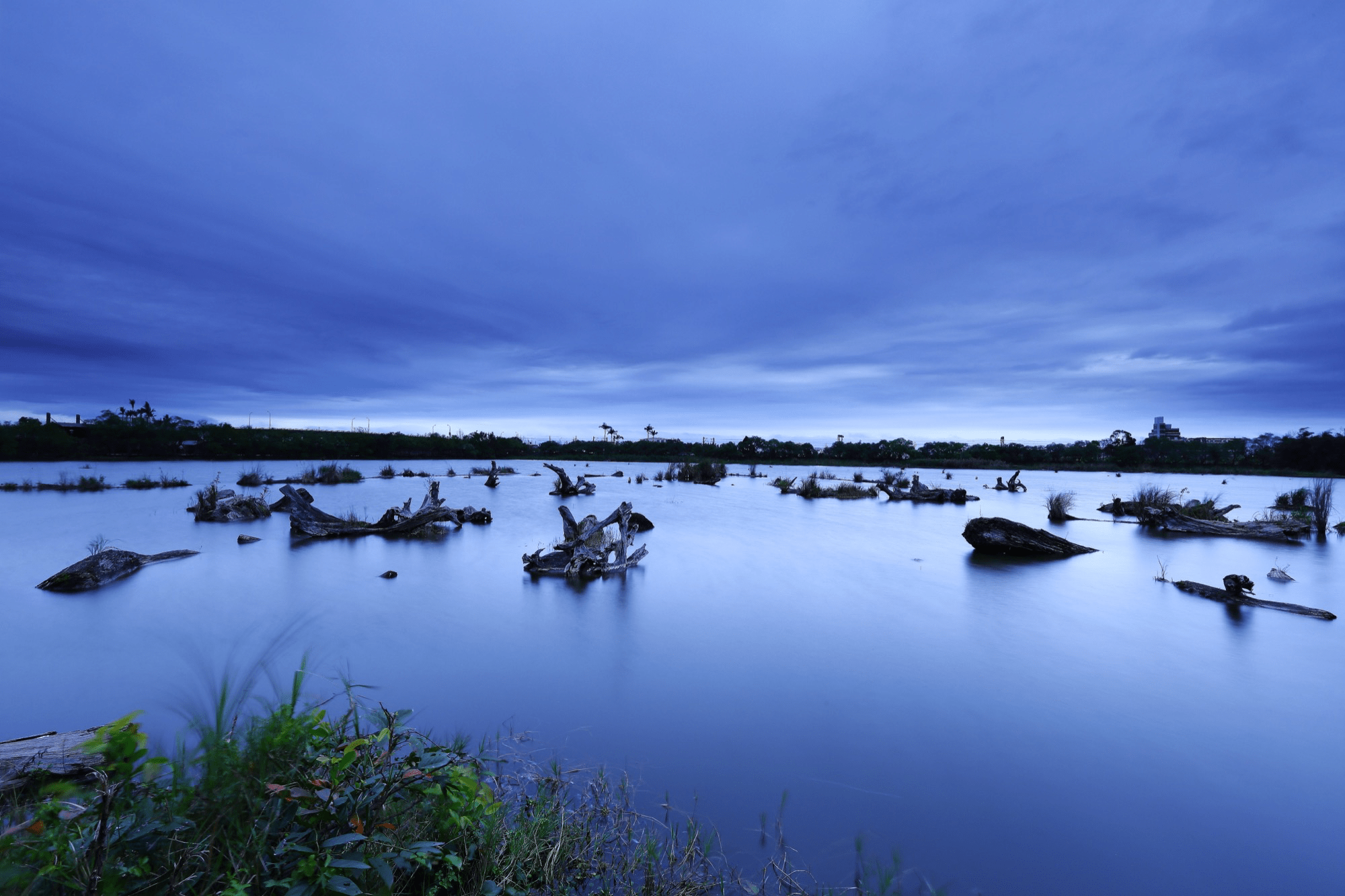 羅東林業文化園區散步旅行，走在貯木池與日式木屋交織的宜蘭森林風景