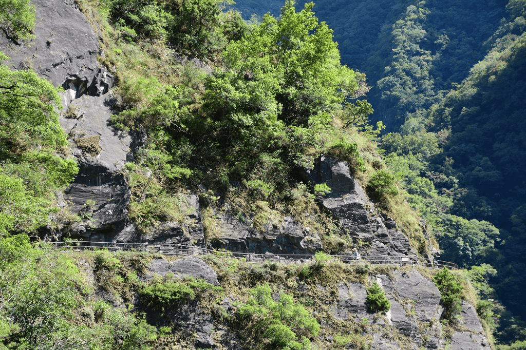 太魯閣綠水步道山谷旅行，沿著百年古道穿越森林峭壁，俯瞰立霧溪峽谷
