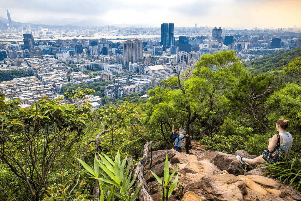 傍晚沿著台北親山步道上山，看飛機、雲影與城市燈光一起慢慢亮起