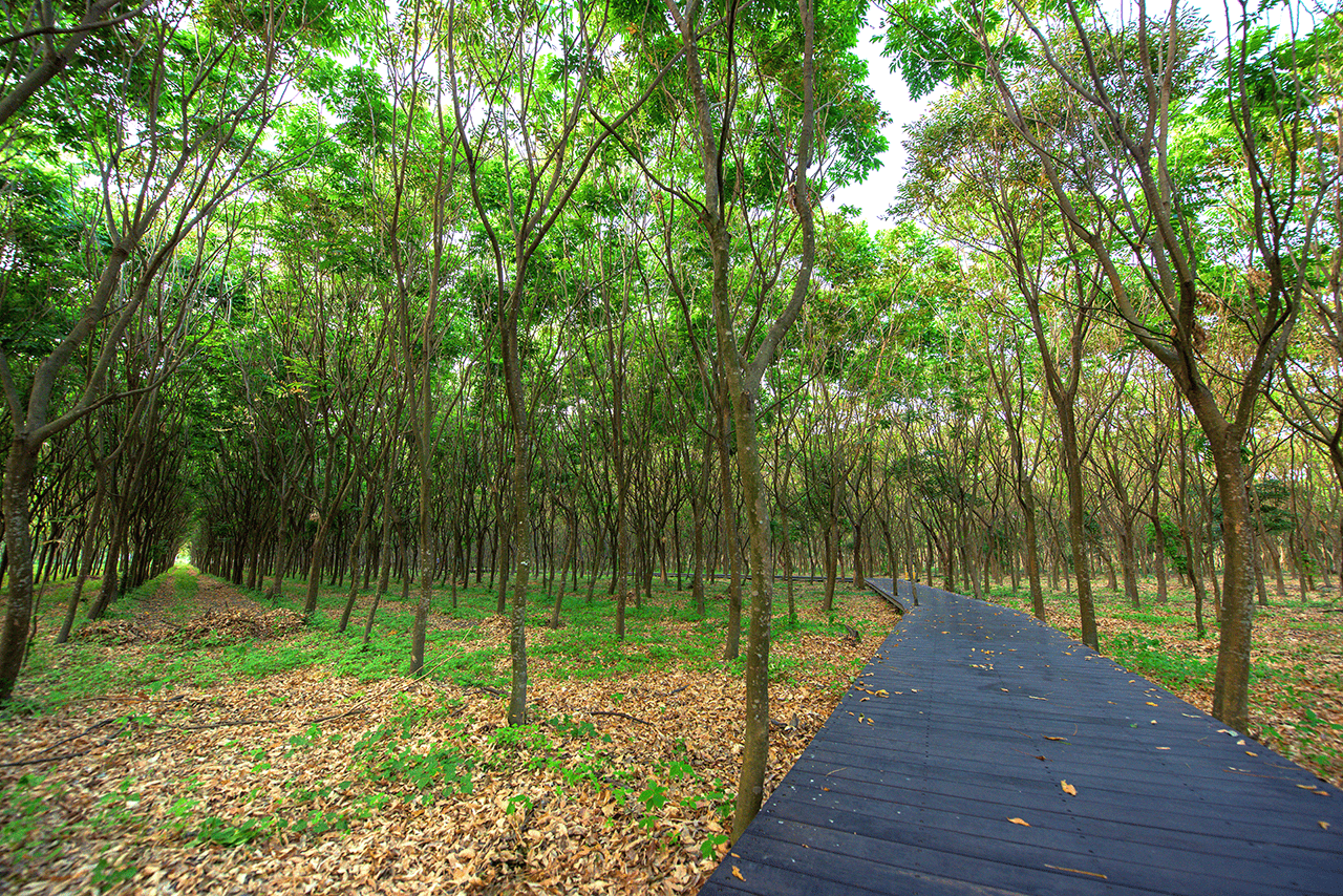 湖畔景觀優美，生態豐富，是遊客駐足欣賞自然景色的絕佳地點