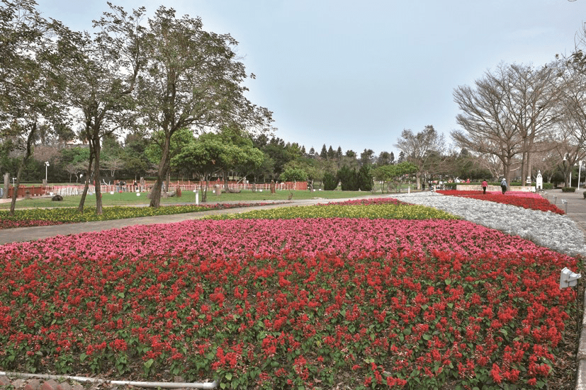 夕陽西下，公園湖泊映照著金色餘暉，展現出靜謐的自然之美