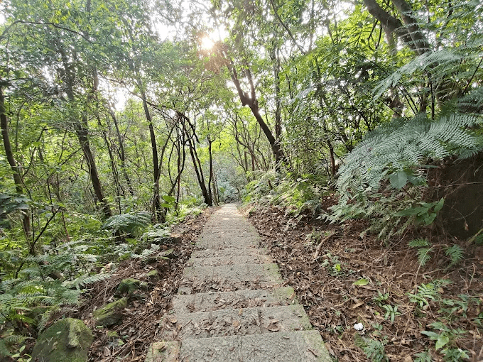 傍晚沿著台北親山步道上山，看飛機、雲影與城市燈光一起慢慢亮起