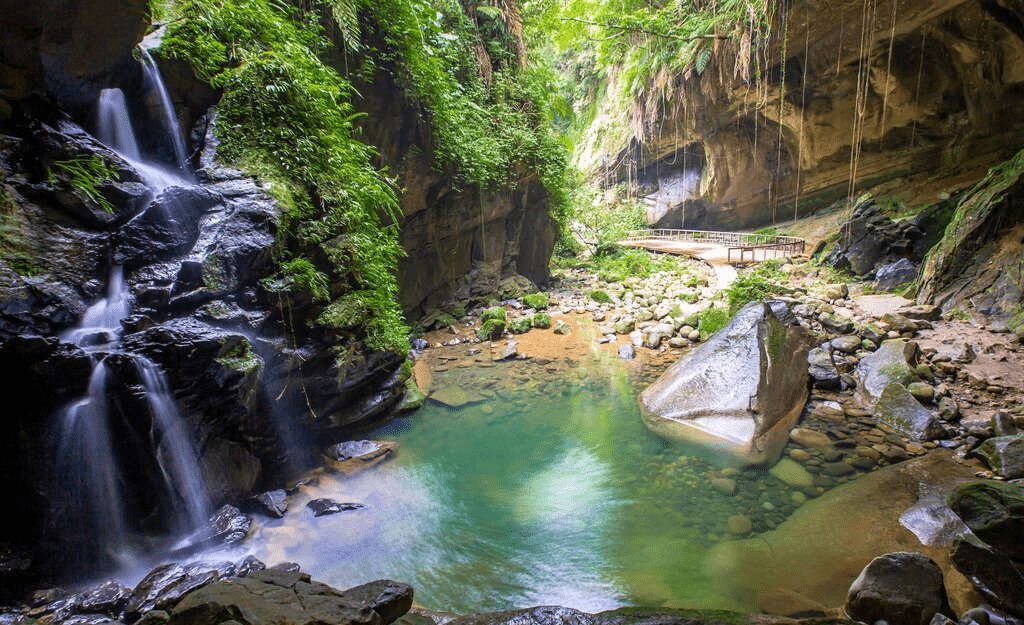 阿宏師火雞肉飯的招牌，肉片鋪滿整碗飯，看起來十分誘人。