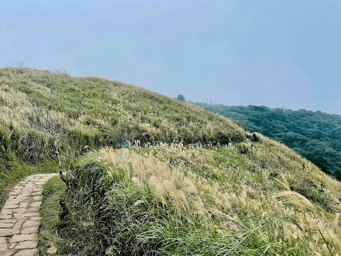 傍晚沿著台北親山步道上山，看飛機、雲影與城市燈光一起慢慢亮起