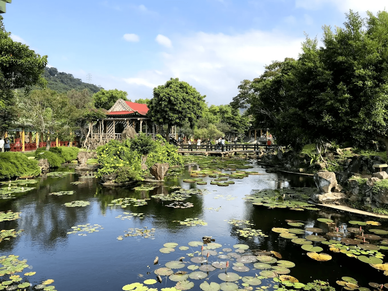 士林賞梅秘境推薦：雙溪公園梅花，古風庭園美到像走進畫裡