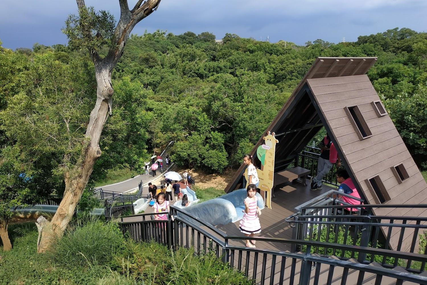 【2026新竹一日遊】青青草原溜滑梯、香山濕地賞蟹，4大綠色秘境療癒輕旅行