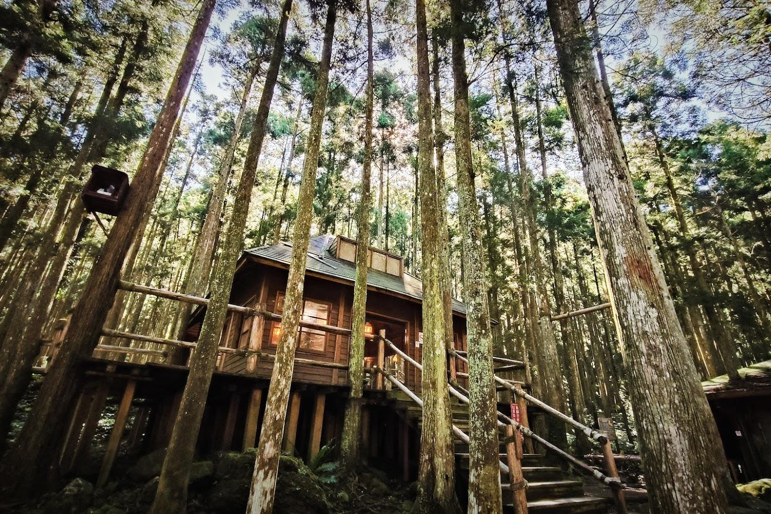 2026新竹森林秘境｜馬武督探索森林：重溫綠光森林夢幻教室，芬多精與瀑布的雙重療癒