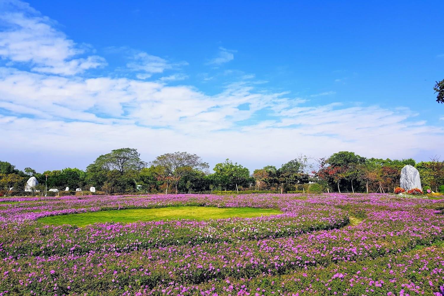 2026 台中后里環保公園旅遊攻略：從垃圾掩埋場到生態綠洲，四季繽紛花海與一日遊行程全收錄