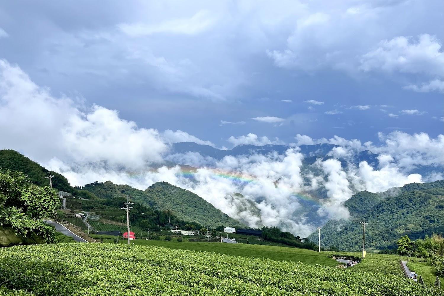 2026嘉義旅遊推薦：走訪二延平步道「雲霧故鄉」，飽覽世界級雲海、幾何茶園與絕美夕陽秘境