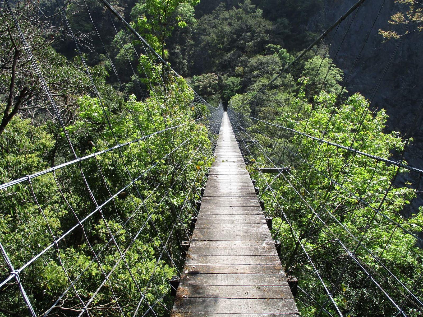 2026新竹步道全攻略：從親子健行到深度古道，探索5大療癒系森林秘境