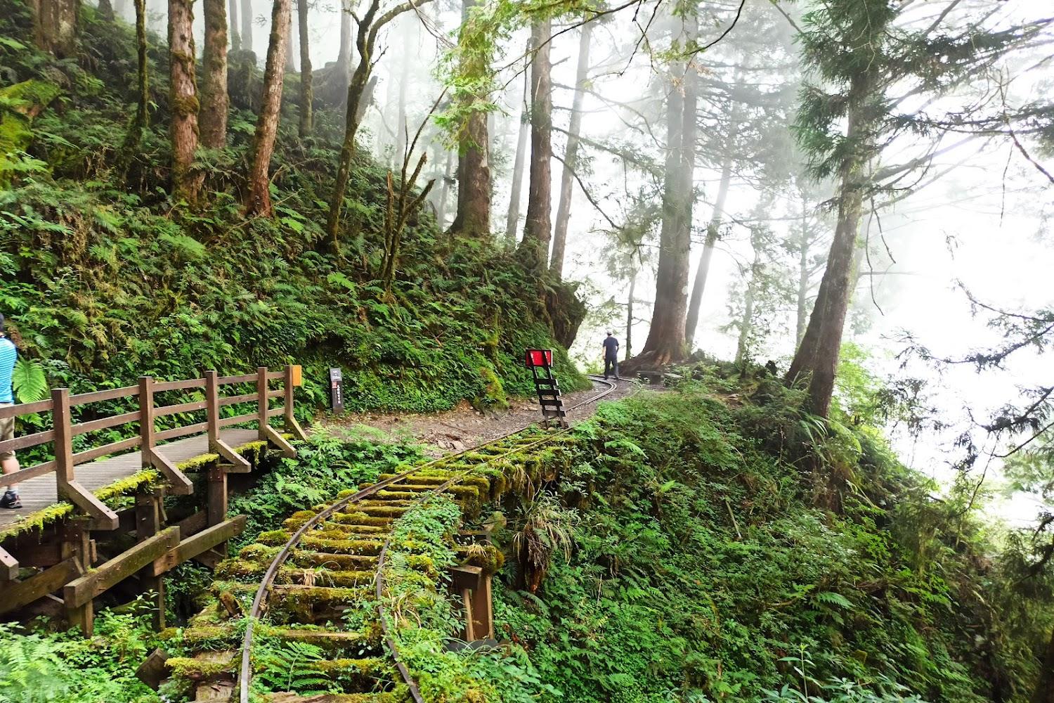 2026宜蘭旅遊攻略：走進太平山與幾米童話，洗滌身心的5大必訪療癒景點