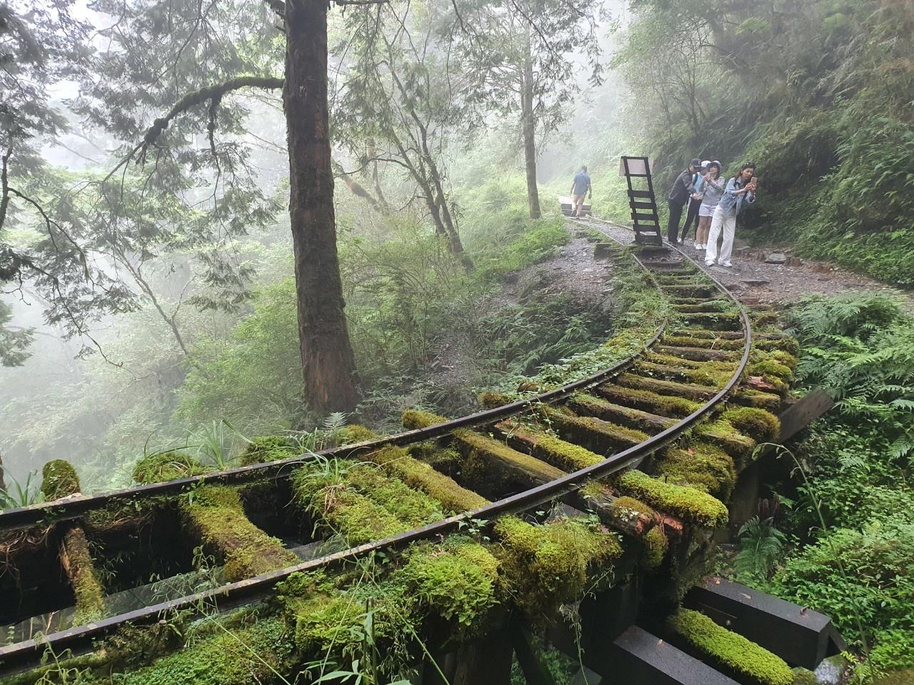 2026宜蘭旅遊全攻略：從太平山雲霧森林到望龍埤湖光山色，探索5大絕美療癒景點